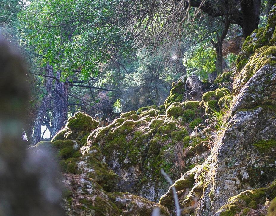 Villa Dio Petres Kroustas Esterno foto